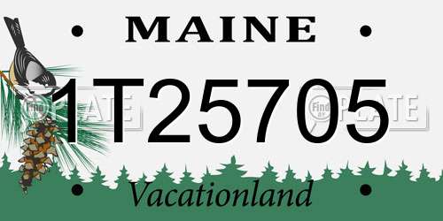 1T25705 Maine License Plate