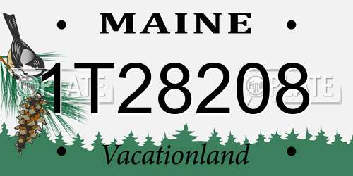 1T28208 Maine License Plate