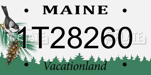 1T28260 Maine License Plate