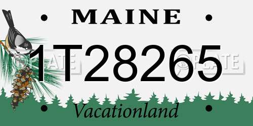 1T28265 Maine License Plate