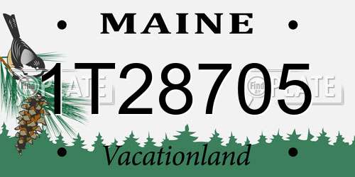 1T28705 Maine License Plate