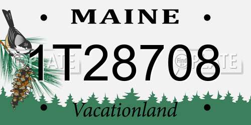 1T28708 Maine License Plate