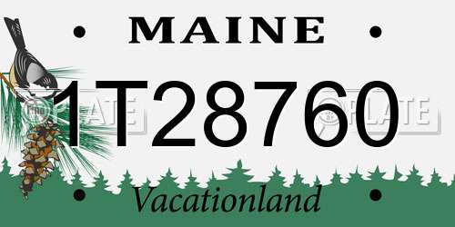 1T28760 Maine License Plate
