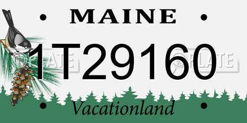 1T29160 Maine License Plate