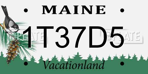 1T37D5 Maine License Plate