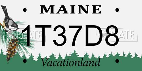 1T37D8 Maine License Plate