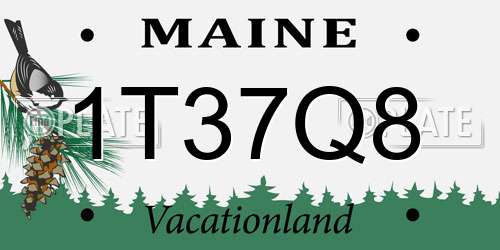 1T37Q8 Maine License Plate