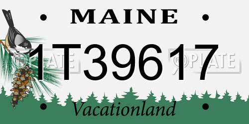 1T39617 Maine License Plate