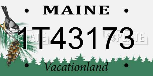 1T43173 Maine License Plate