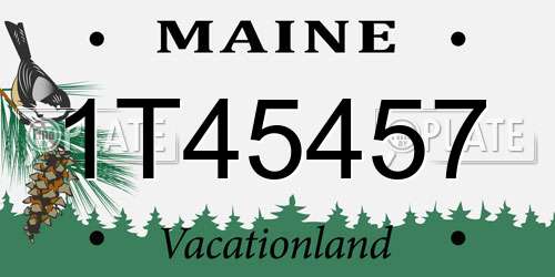 1T45457 Maine License Plate