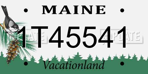 1T45541 Maine License Plate