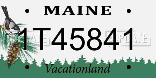 1T45841 Maine License Plate