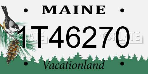 1T46270 Maine License Plate
