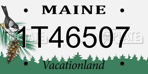 1T46507 Maine License Plate