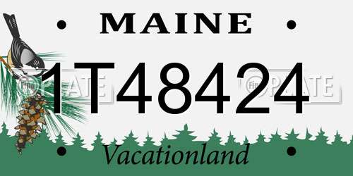 1T48424 Maine License Plate