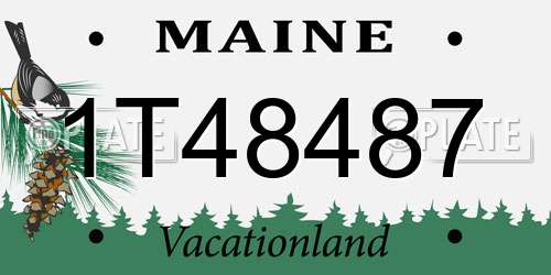 1T48487 Maine License Plate