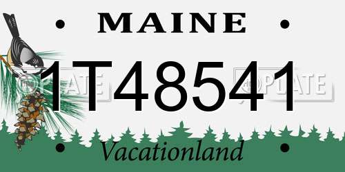 1T48541 Maine License Plate