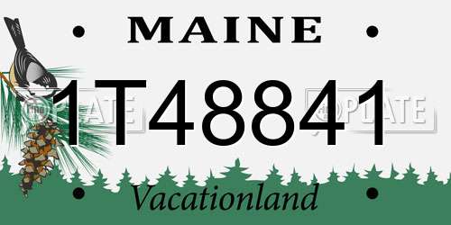 1T48841 Maine License Plate