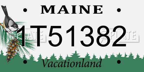1T51382 Maine License Plate