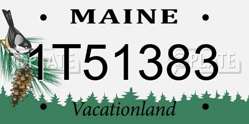 1T51383 Maine License Plate