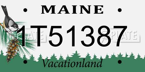 1T51387 Maine License Plate