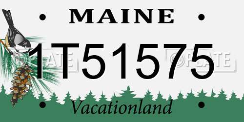 1T51575 Maine License Plate