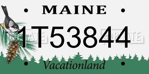 1T53844 Maine License Plate