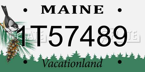 1T57489 Maine License Plate