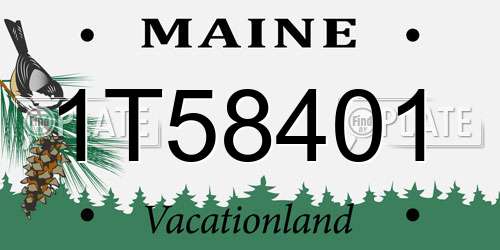 1T58401 Maine License Plate