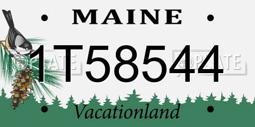 1T58544 Maine License Plate