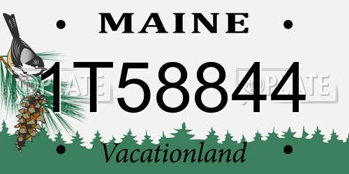 1T58844 Maine License Plate