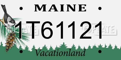 1T61121 Maine License Plate