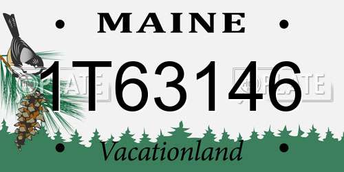 1T63146 Maine License Plate