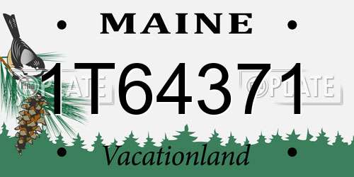 1T64371 Maine License Plate