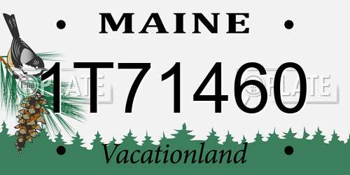 1T71460 Maine License Plate