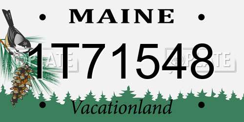 1T71548 Maine License Plate