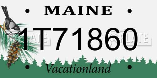 1T71860 Maine License Plate