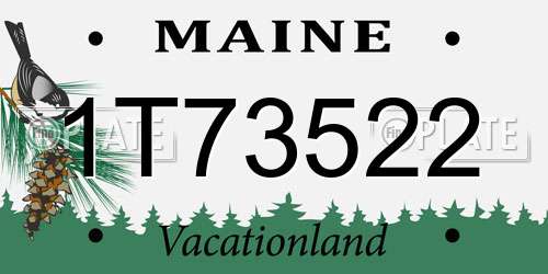 1T73522 Maine License Plate