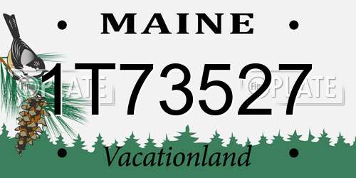 1T73527 Maine License Plate