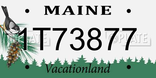 1T73877 Maine License Plate