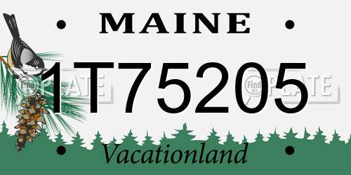 1T75205 Maine License Plate