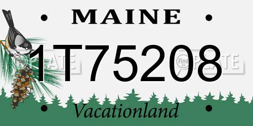 1T75208 Maine License Plate