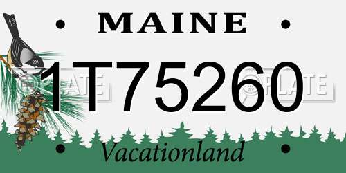 1T75260 Maine License Plate