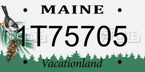 1T75705 Maine License Plate
