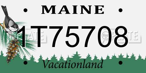 1T75708 Maine License Plate