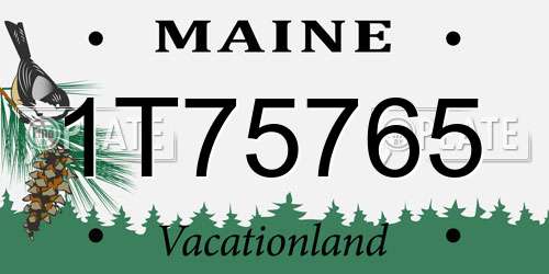 1T75765 Maine License Plate
