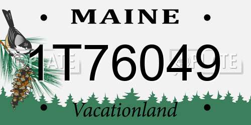 1T76049 Maine License Plate