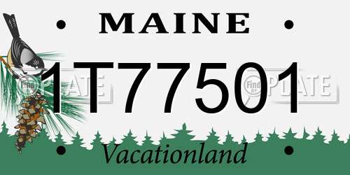 1T77501 Maine License Plate