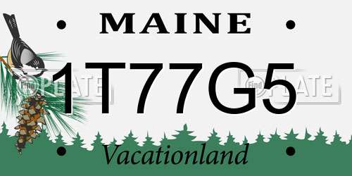 1T77G5 Maine License Plate