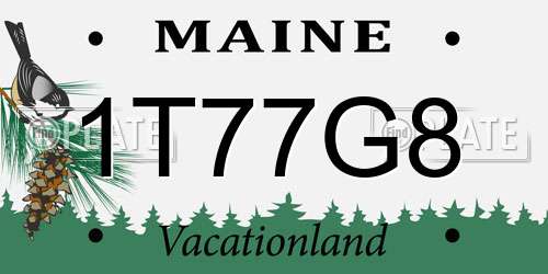 1T77G8 Maine License Plate
